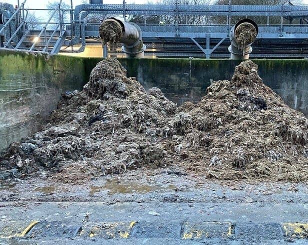 Severn Trent, has revealed a picture showing the extent of sewage misuse, the majority being flushed wet wipes at one of its rag skips