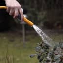 Some areas in England could see hosepipe bans this year after a dry winter.