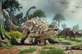 A stock image of Ankylosaurus 