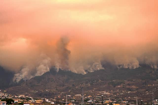 Billow from a huge wildfire which broke out almost two days ago in Tenerife
