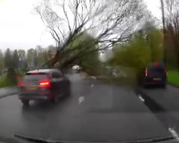 Dashcam footage of the moment a tree was blown onto Princess Road in Manchester during high winds on Monday April 15 2024. 