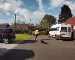 Video grab as a delivery man hurdles a gate after being chased by a small dog.  