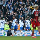 Brighton's Champions League chances predicted