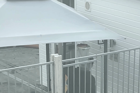 Distressing RSPCA video shows cruel woman whack dogs with garden spade