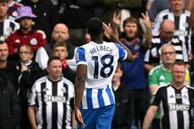 Brighton striker Danny Welbeck enjoys scoring against Newcastle