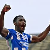 Brighton striker Danny Welbeck continues to deliver in the Premier League