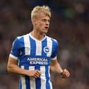 Brighton defender Jan Paul van Hecke will have just one-year remaining on his contract this summer
