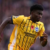 Brighton's Carlos Baleba will represent Cameroon at the AFCON