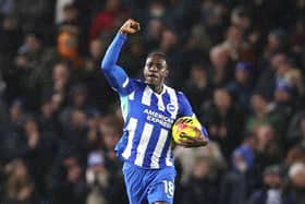 Brighton striker Danny Welbeck is out of contract this summer