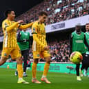 Brighton midfielder Yasin Ayari is congratulated after his goal