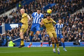 Brighton skipper Lewis Dunk is key for Fabian Hurzeler