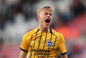 Brighton defender Jan Paul van Hecke has impressed this season