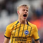Brighton defender Jan Paul van Hecke has impressed this season