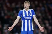 Brighton defender Jan Paul van Hecke is expected to be in demand this summer