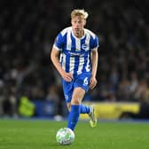 Brighton defender Jan Paul van Hecke will have 12 months remaining on his contract this summer