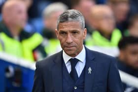 Former Brighton and Hove Albion boss Chris Hughton