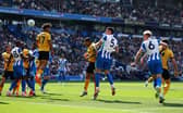 Brighton captain Lewis Dunk powers home a header against Wolves
