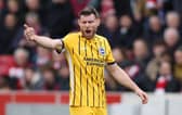 Brighton midfielder James Milner has "aggression" and "fighting spirit"