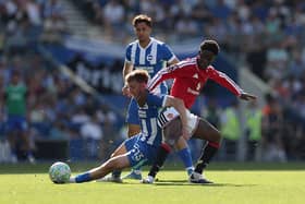Brighton struggled on the final day of the season against Man United