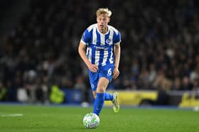 Brighton's Jan Paul van Hecke will move to Tottenham for £52m