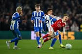 Former Brighton man Leandro Trossard played for Arsnela against the Seagulls last season