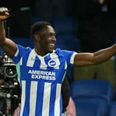 Danny Welbeck celebrates a goal against Chelsea last season