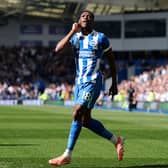 Brighton striker Danny Welbeck is wanted by Chelsea