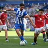 Brighton striker Charalampos Kostoulas could benefit from Danny Welbeck's exit