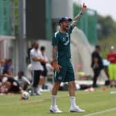 Brighton boss Fabian Hurzeler expects the existing strikers to step up