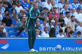 Brighton head coach Fabian Hurzeler has seen the dynamic of his squad shift this window