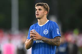 Brighton's record signing Luka Vuskovic