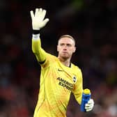 Brighton goalkeeper Jason Steele is back in the England squad