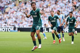 Charalampos Kostoulas has impressed for Brighton this season
