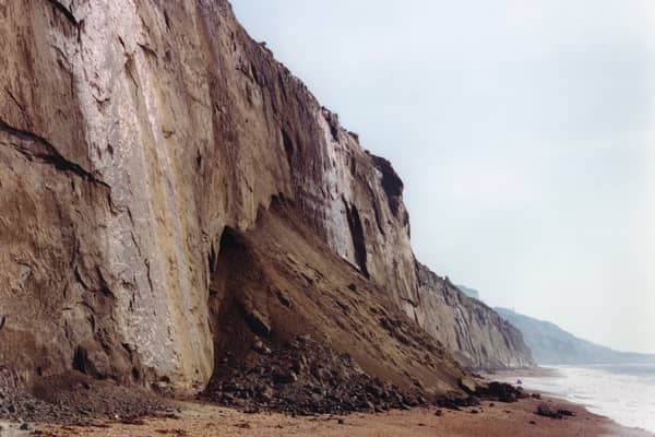 Edge: Where the Land Meets the Sea - Jem Southam, Whale Chine, October 1994