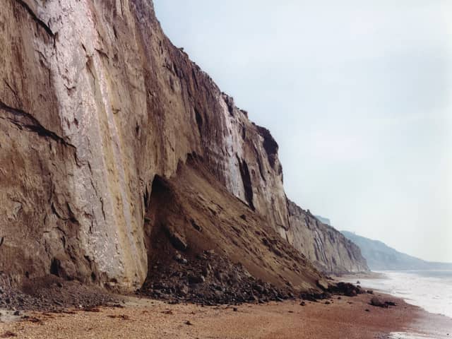 Edge: Where the Land Meets the Sea - Jem Southam, Whale Chine, October 1994