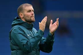 Brighton head coach Fabian Hurzeler will hope to have injured players available after the break