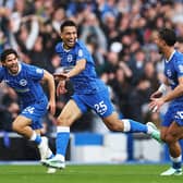 Brighton's Diego Gomez celebrates his strike against Crystal Palace