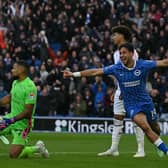 Brighton striker Charalampos Kostoulas celebrates his goal against Crystal Palace