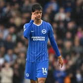 Chema Andres of Brighton and Hove Albion impressed against Crystal Palace