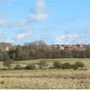 The site 