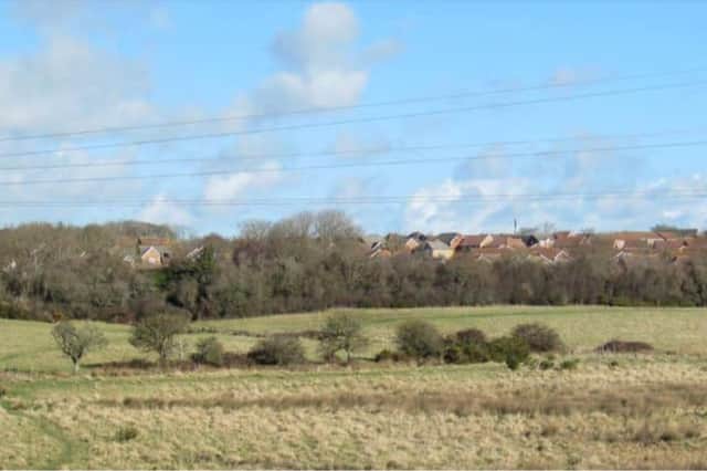The site