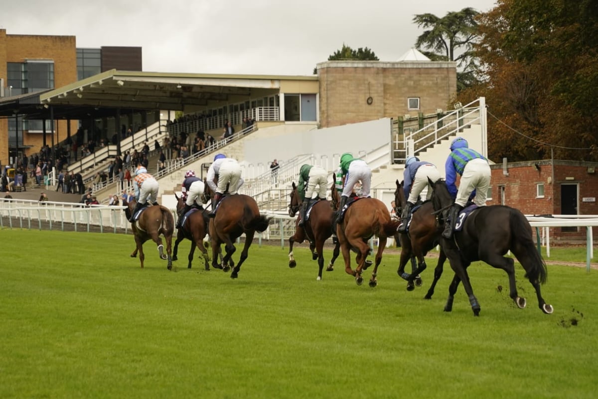 Tips and preview for Fontwell Park's Wednesday racing