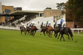 Fontwell Park action, October 2026 