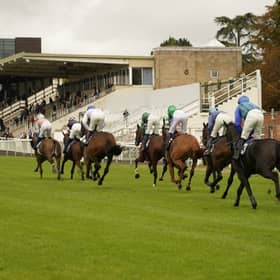 Fontwell Park action, October 2026 