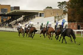 Fontwell Park action, October 2026 