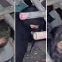 Police have appealed for help identifying these people in connection with a burglary.