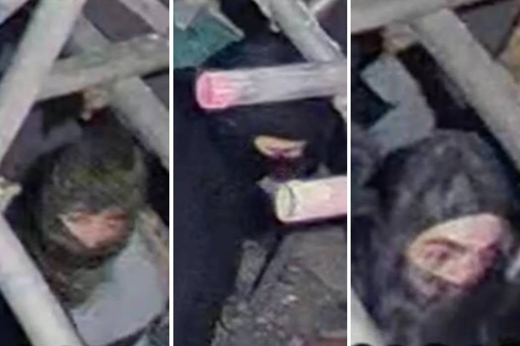 Identity appeal following Lancing burglary