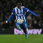 Brighton winger Yankuba Minteh is yet to feature this season