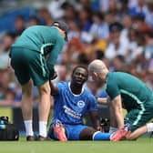 Brighton winger Yankuba Minteh is yet to feature this term