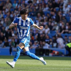 Brighton winger Kaoru Miotma remains on the sidelines